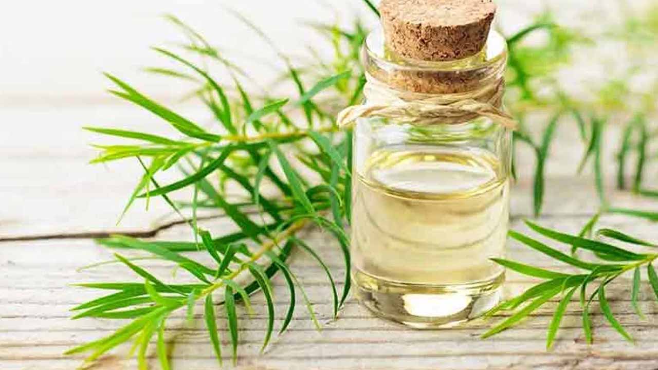టీ ట్రీ ఆయిల్ వల్ల చర్మానికి కలిగే ప్రయోజనాలు ఏమిటి?