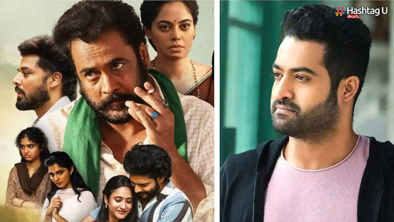 Jr Ntr Praises Dhandoraa