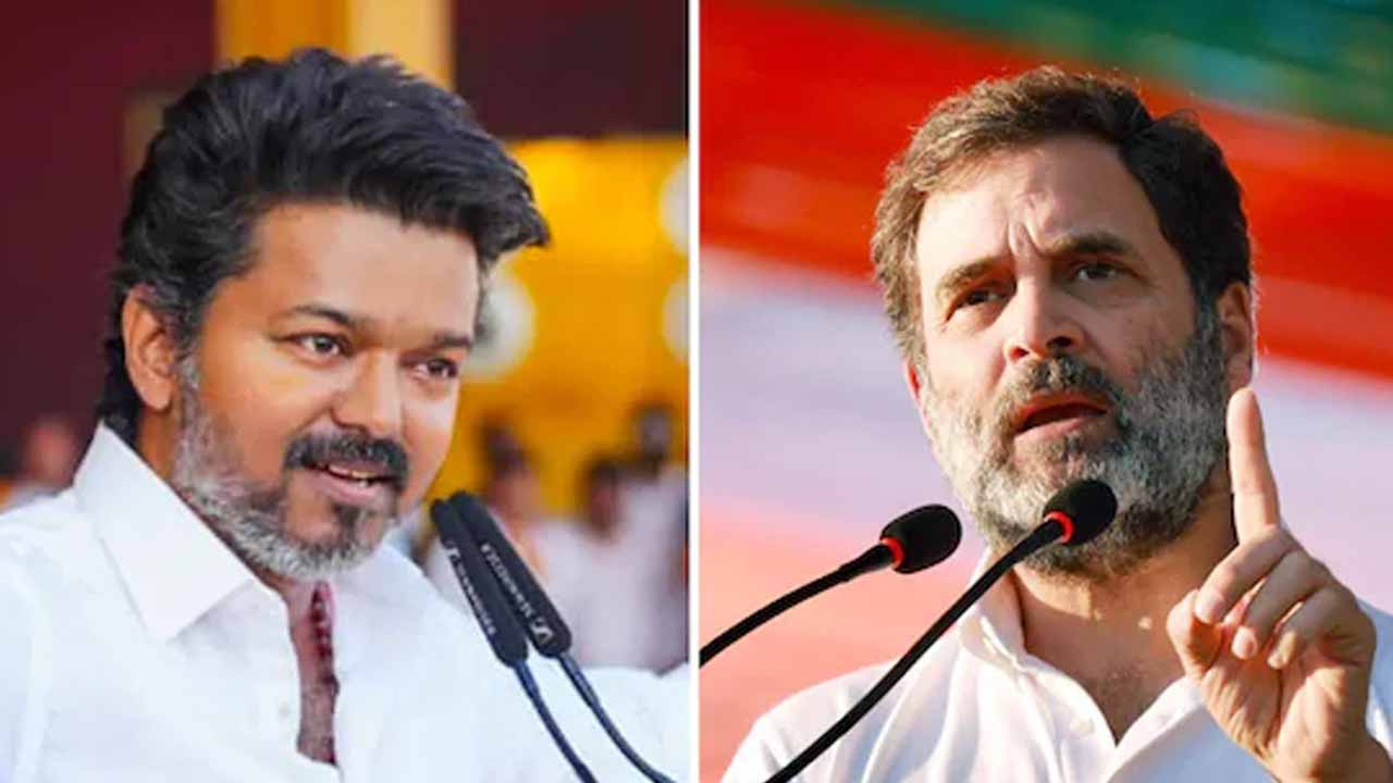 Party spokesperson's key comments on TVK-Congress alliance