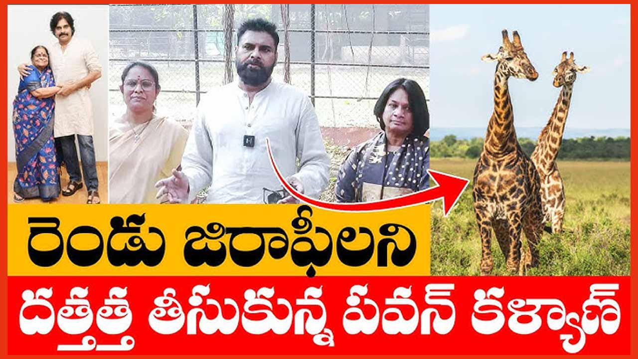 Pawan Kalyan Adopts Two Gir