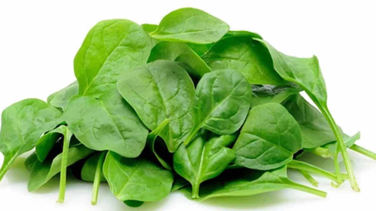 There are many benefits of eating lettuce every day..!