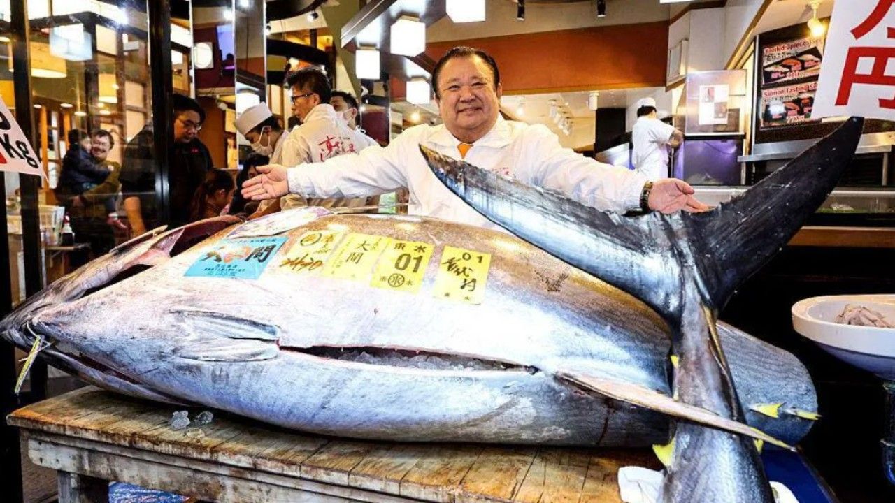 Bluefin Tuna