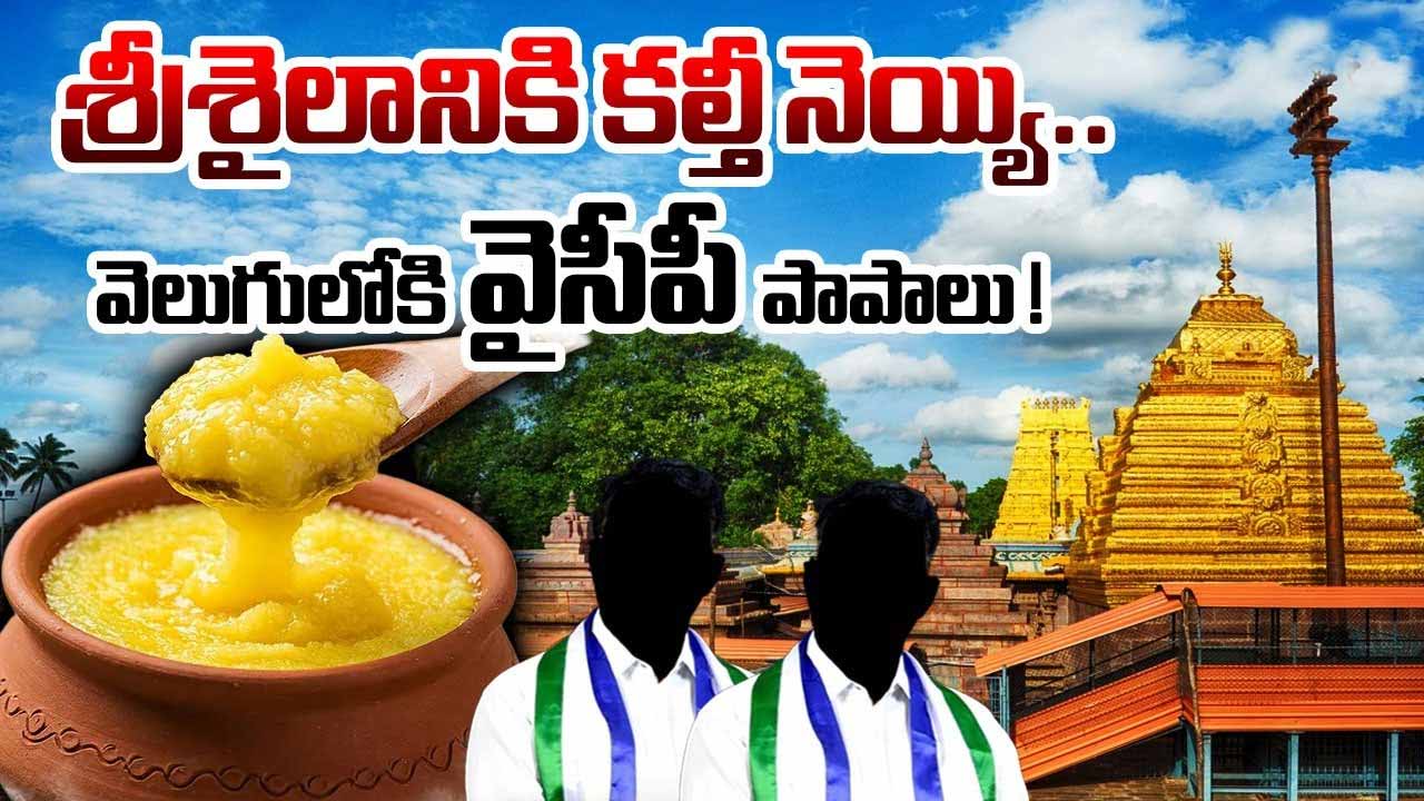 Adulterated Ghee Supplied T