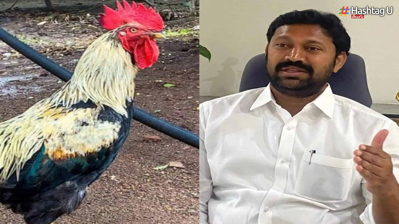 లోక్‌సభలో నాటుకోడి ధరలపై వైసీపీ ఎంపీ అవినాశ్‌రెడ్డి ఆవేదన