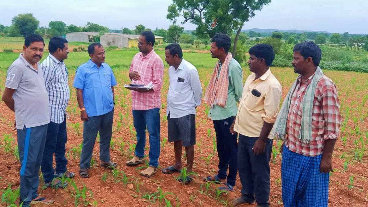 తెలంగాణ లో వాలంటీర్ల నియామకం..రోజుకు రూ.1500 !!