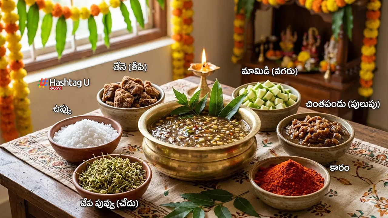 Ugadi Pachadi Significance