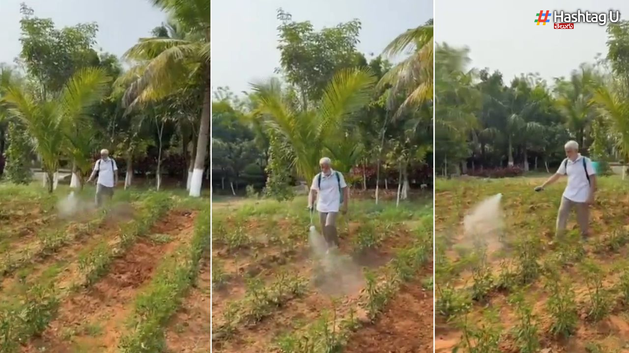 రైతుగా మారిన.. మాజీ ఎంపీ విజయసాయి రెడ్డి