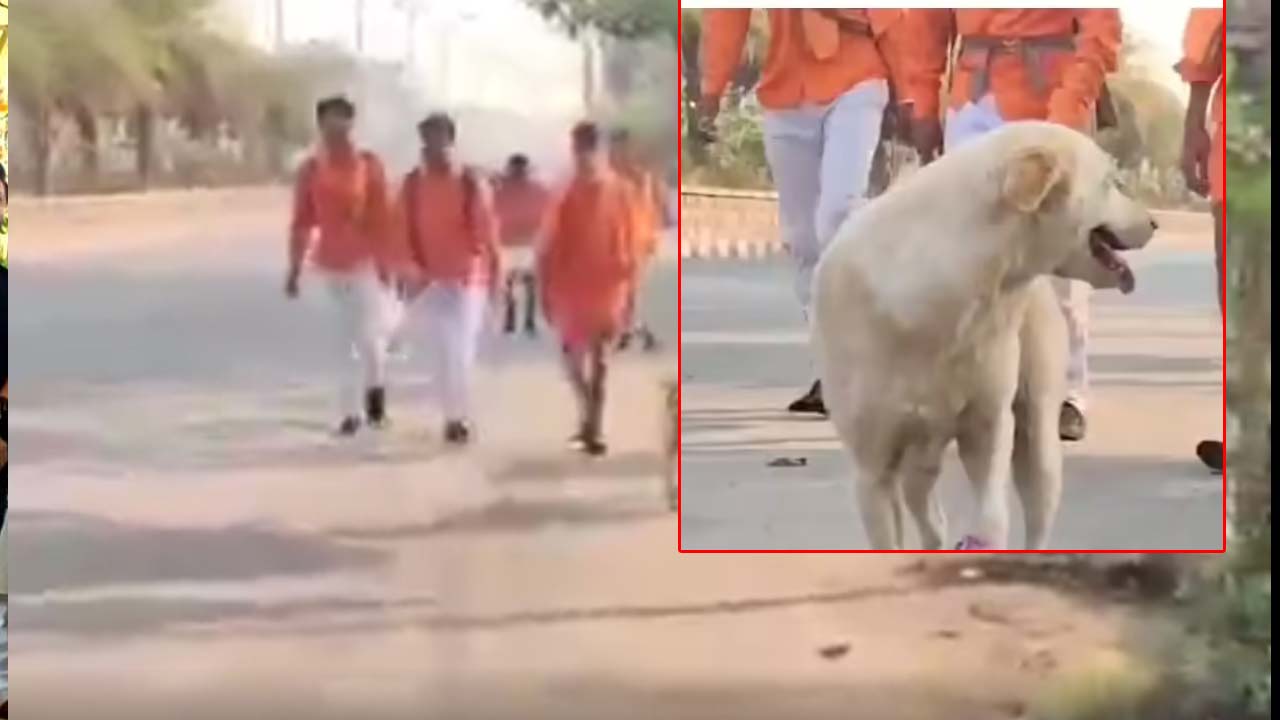 Dog : రూ.5 బిస్కెట్ తో 130 కి.మీ పాదయాత్ర చేసిన శునకం..ఇది కదా విశ్వాసం అంటే !!