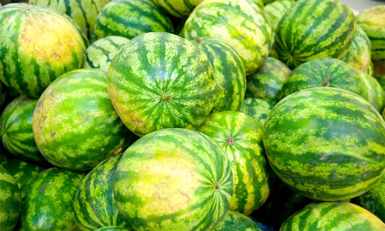 Watermelon : పుచ్చకాయ కొనేటప్పుడు ఇవి తప్పక గమనించండి!
