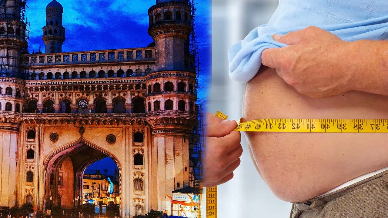 Obesity Hyd