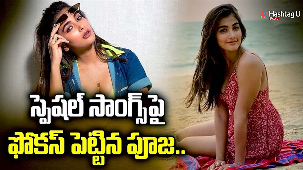 pooja hegde Rowdy Janardhan special item song