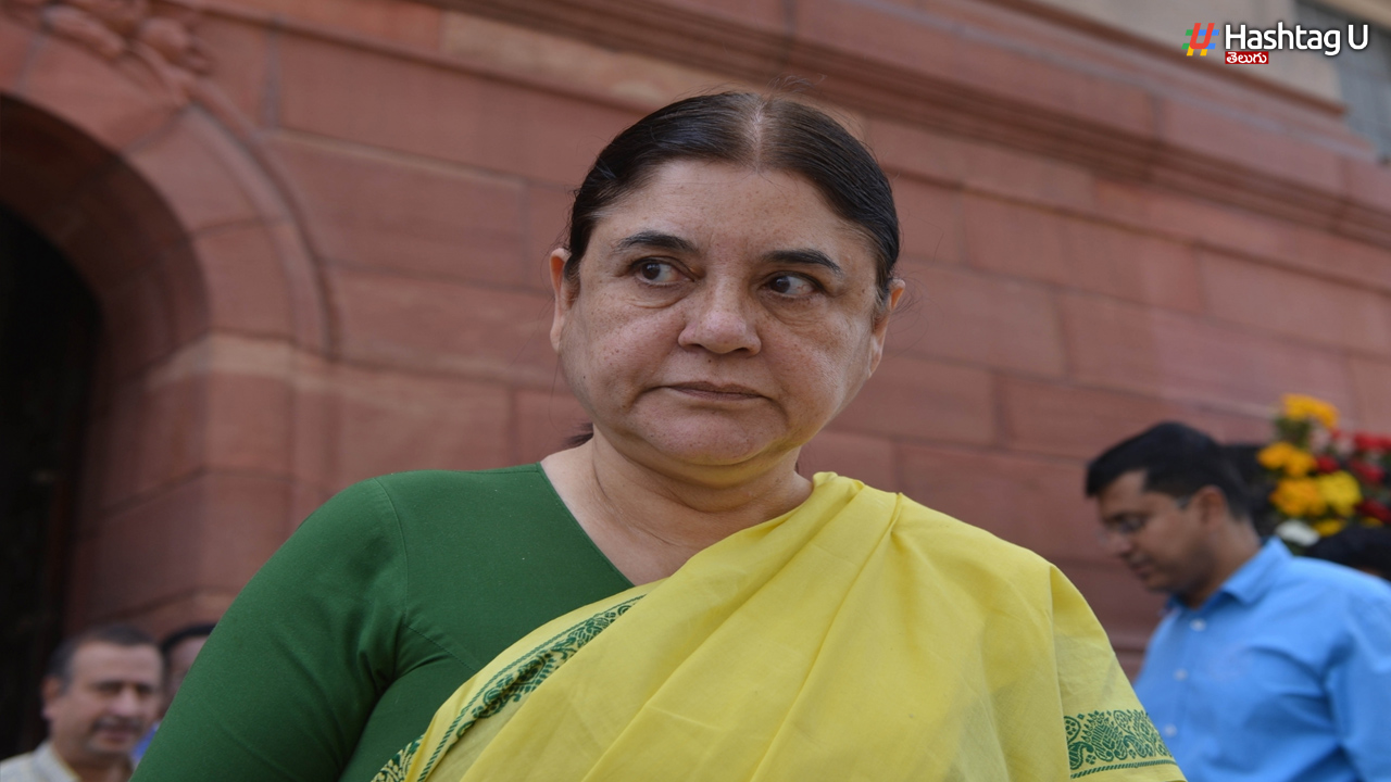Ex Union Minister Maneka Gandhi Letter to Chandrababu Naidu