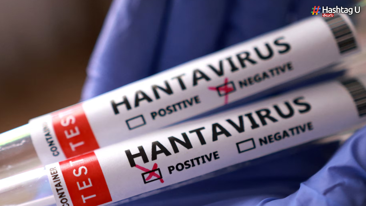 Hantavirus: హంటా వైరస్ లక్షణాలు ఏంటి? కరోనా కంటే ప్రమాదమా?