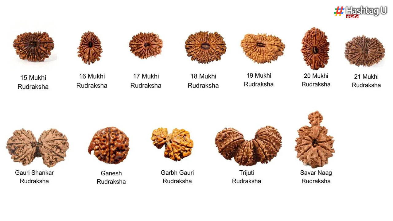 Rudraksha..