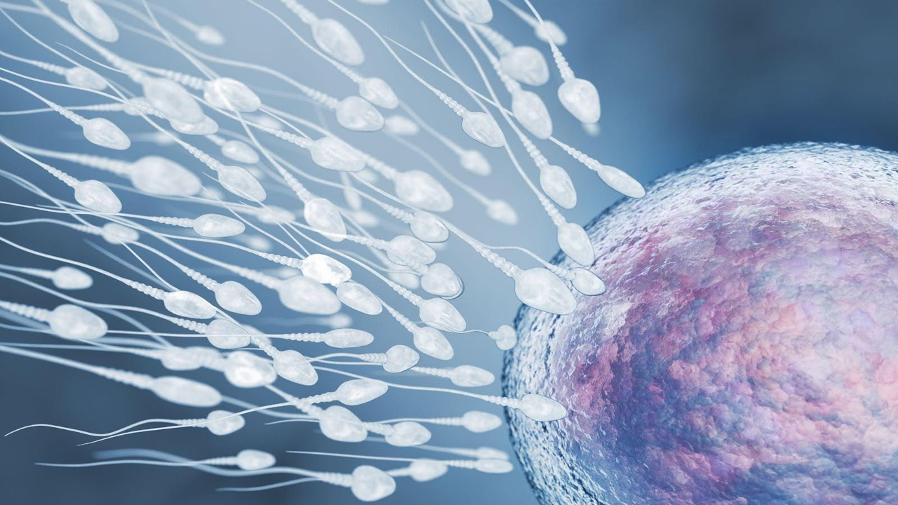 Want to increase your sperm count? Then you must do this!