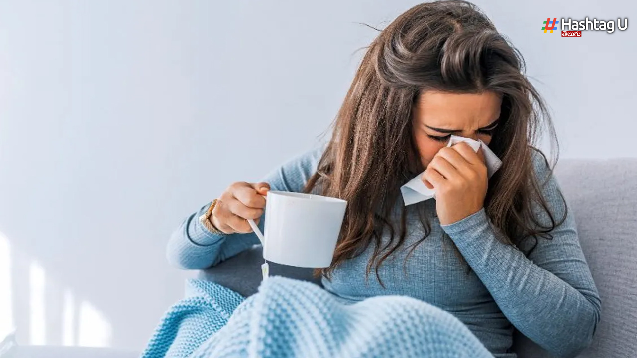 Health Care Tips: వర్షాకాలంలో రోగాలు రాకుండా ఉండాలంటే ఇలా చేయండి!