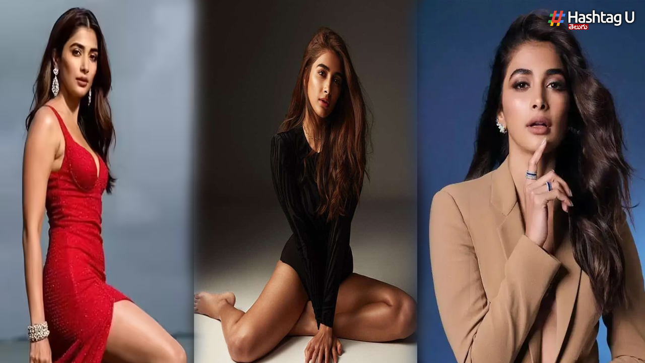 Pooja Hegde Makes Shocking Comments About Movies