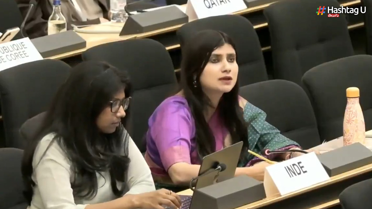 We won't tolerate any interference regarding Kashmir: India's strong counter to Pakistan at the UN.