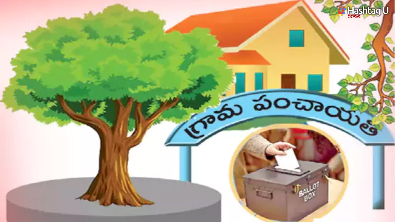 Big update on local body elections in AP