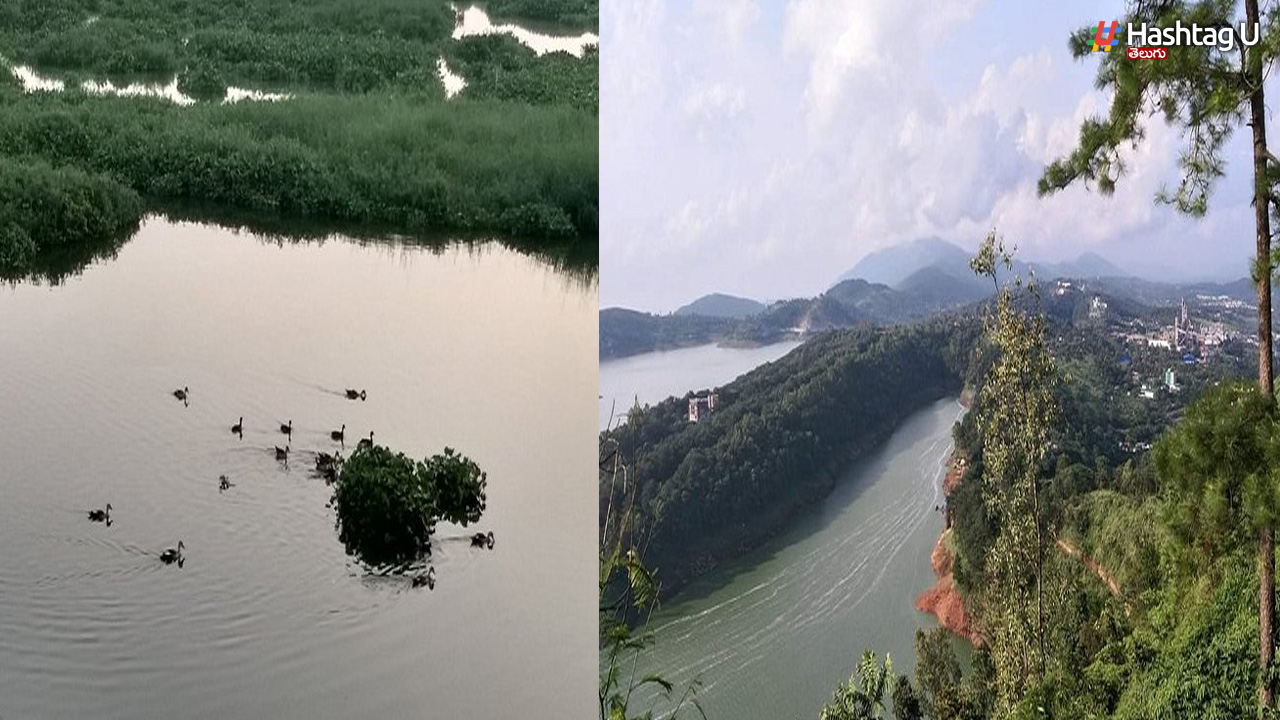 Water levels in Mumbai's lakes have dropped to 49.73 percent; the IMD has issued a 'Yellow Alert' for Thane.