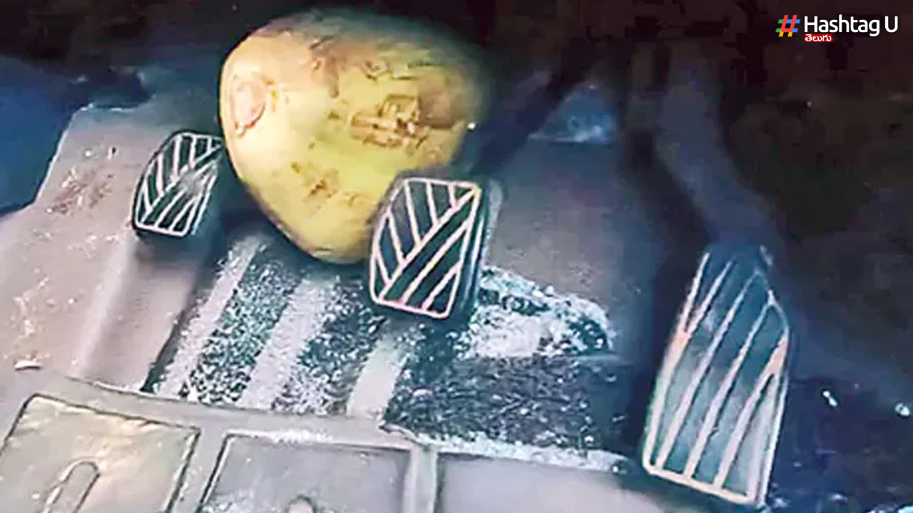 Tender coconut claims a life