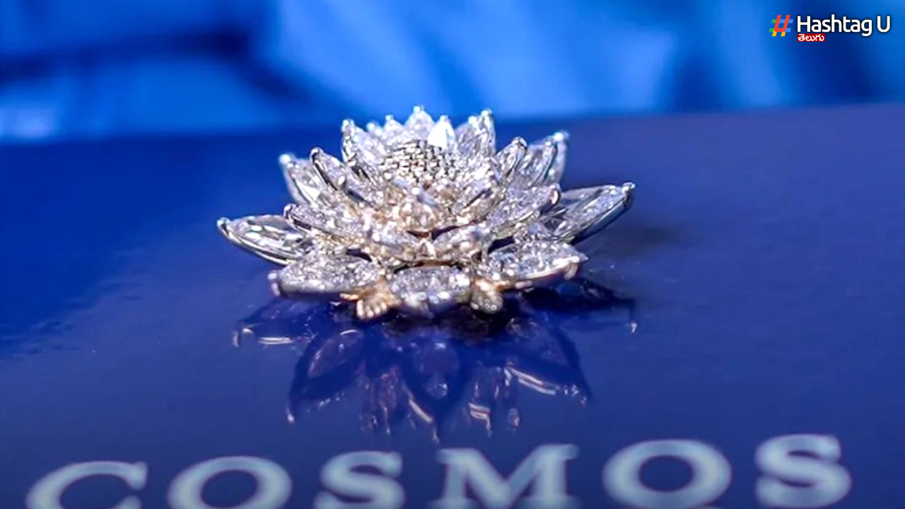 Diamond Lotus: అంతరిక్షంలోకి ల్యాబ్‌-గ్రోన్‌ వజ్ర కమలం చరిత్ర సృష్టించనుంది..!